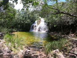 301841c7-18e3-4bca-aff1-45a3f195c218