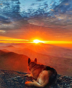 a5570aca-6f15-464e-ae17-d526e2c54e35