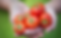 VRtomato.png