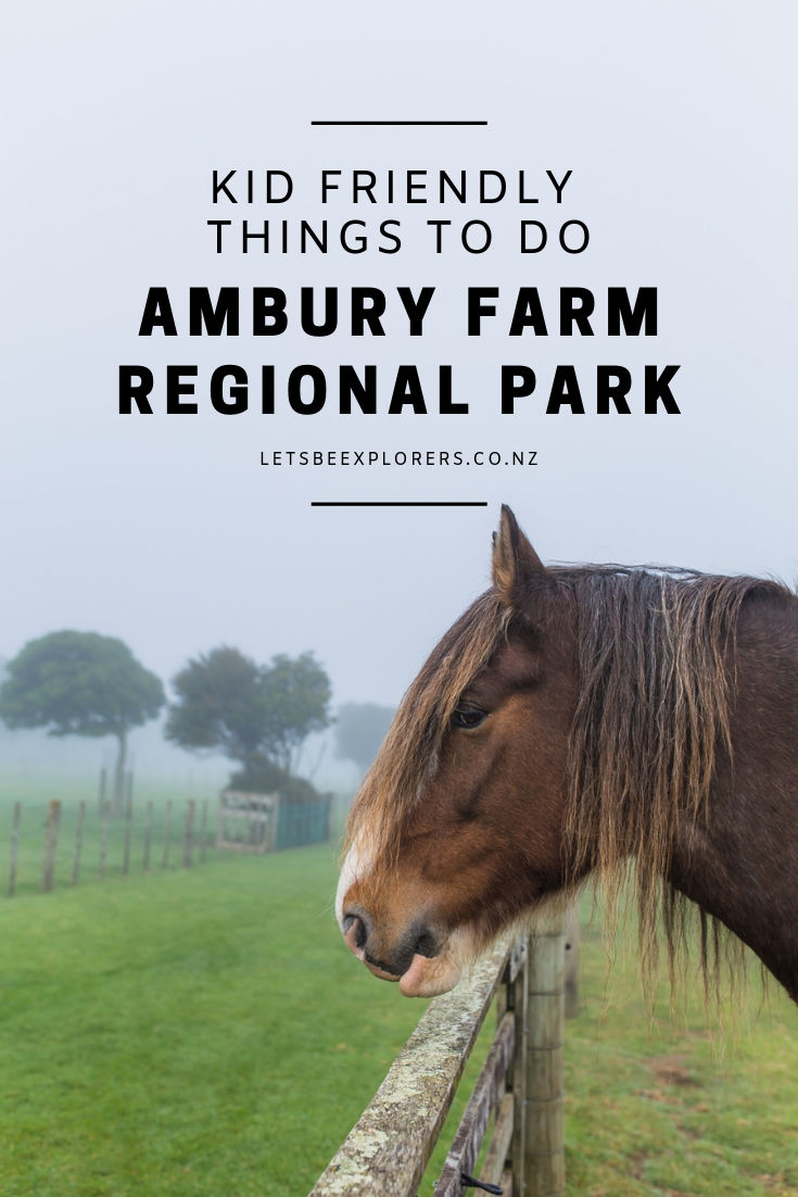 Ambury Regional Park