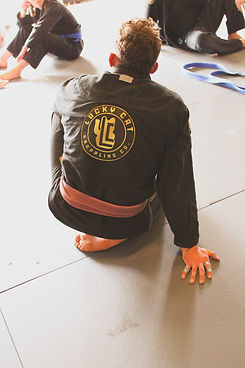 Jiu Jitsu Provokes Thought