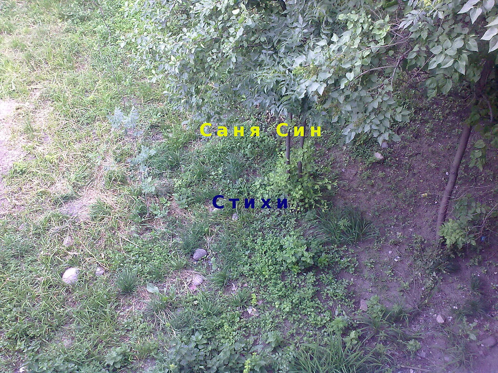 Саня Син стихи