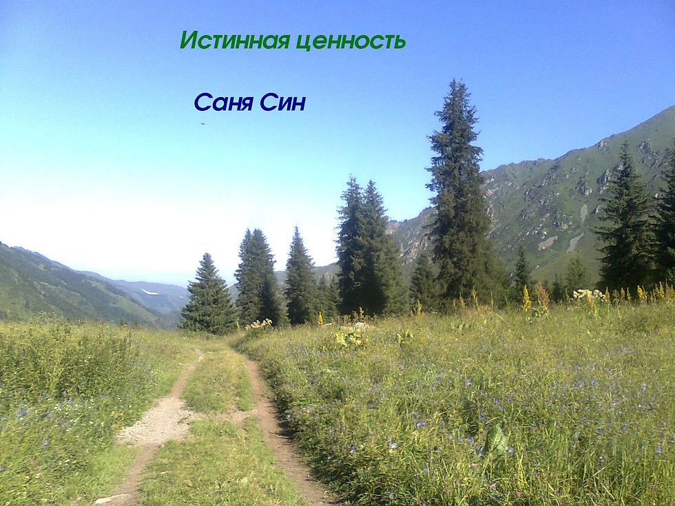 Саня Син Истинная ценность