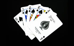 Playing Cards
