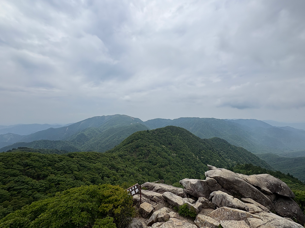 左の奥に見えるのが雨乞岳です
