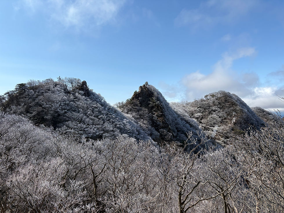 樹氷に包まれる鎌尾根