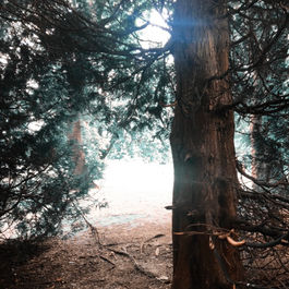 Where’s your focus?