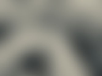 Parental Responsibility