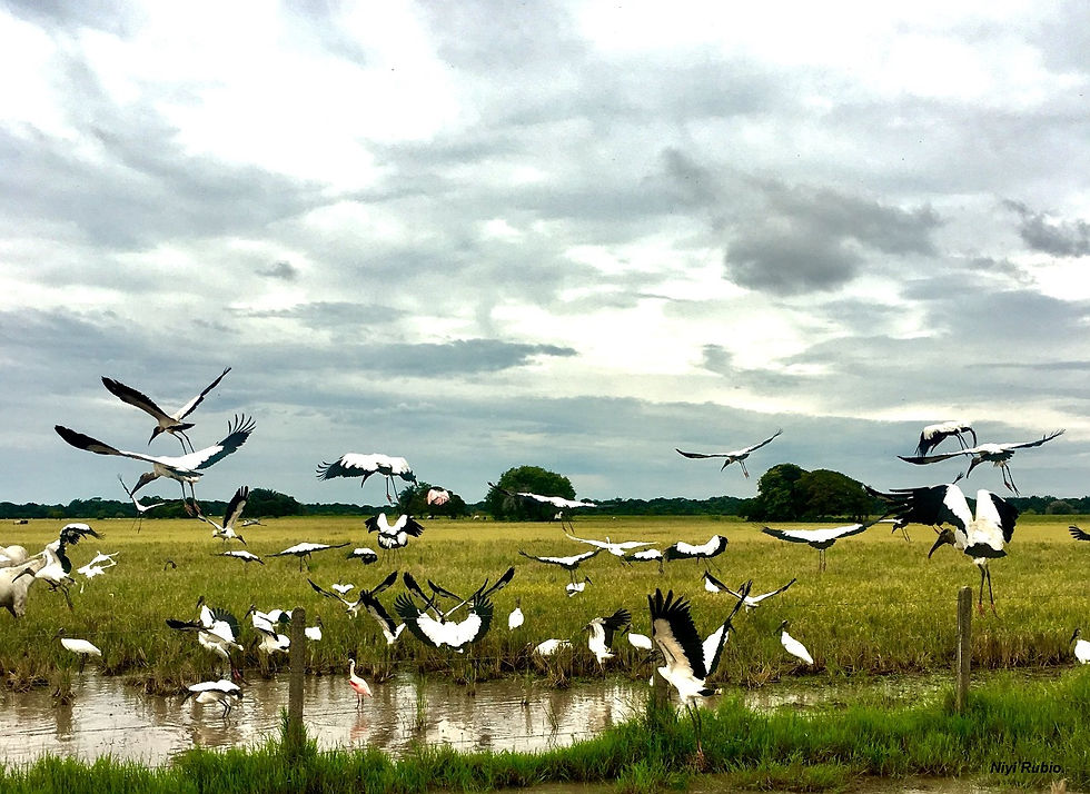 TRINIDAD TURÍSTICA,MIL VECES MEJOR...