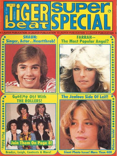 Tiger Beat Super Special.jpg