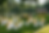 outdoor.png