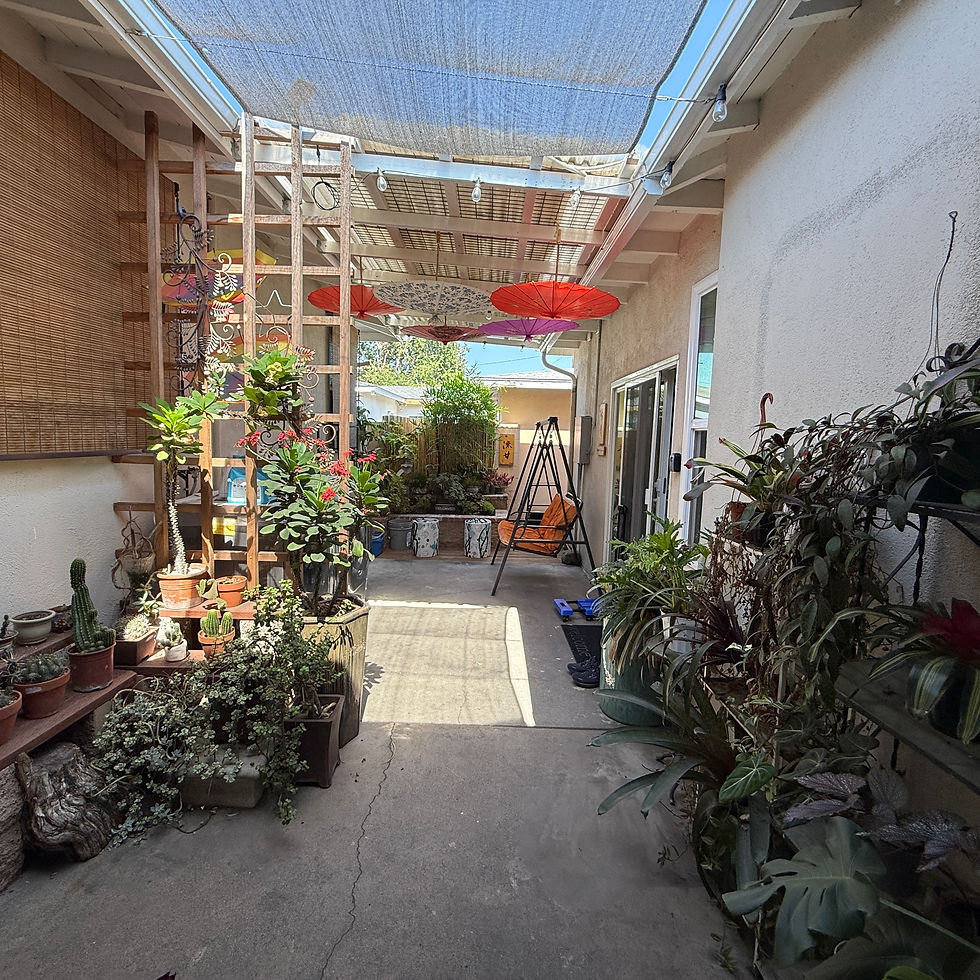 Bright, cozy patio with numerous potted plants, red parasols overhead. Sunlit concrete path leads to a lush, peaceful garden area.