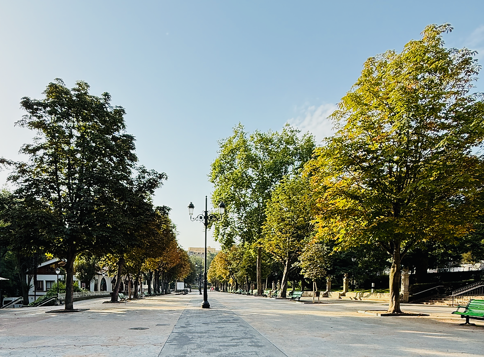 Tree-lined pathway in a park with green benches under a clear blue sky. Street lamps line the path, creating a peaceful, serene atmosphere.