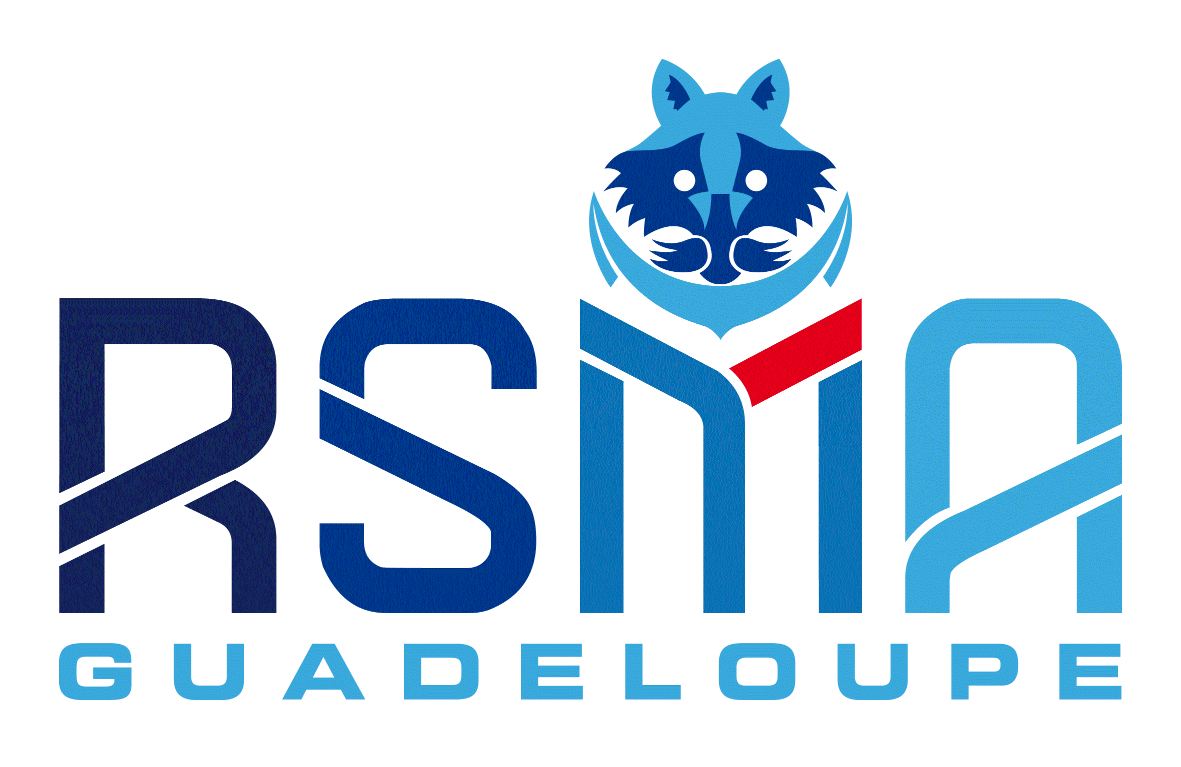 RSMA 1.gif