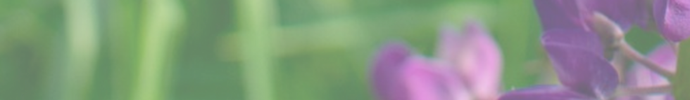 Website Background.png