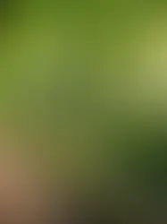 Embracing the Rhythm of Slow Living: Finding Balance in a Fast-Paced World