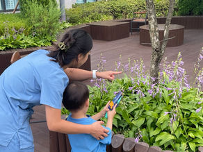 A study on Behavior Analysts’ Perceptions of Compassionate Care and Therapeutic Relationships