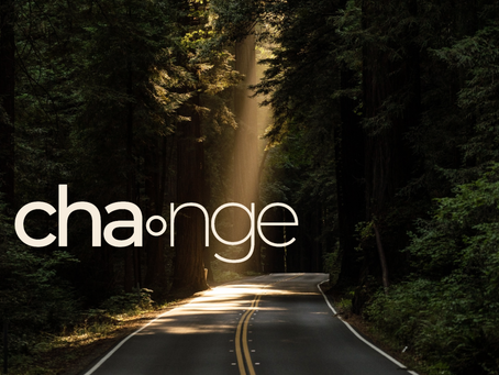 We Can’t Manage Change, but We Change Effortlessly