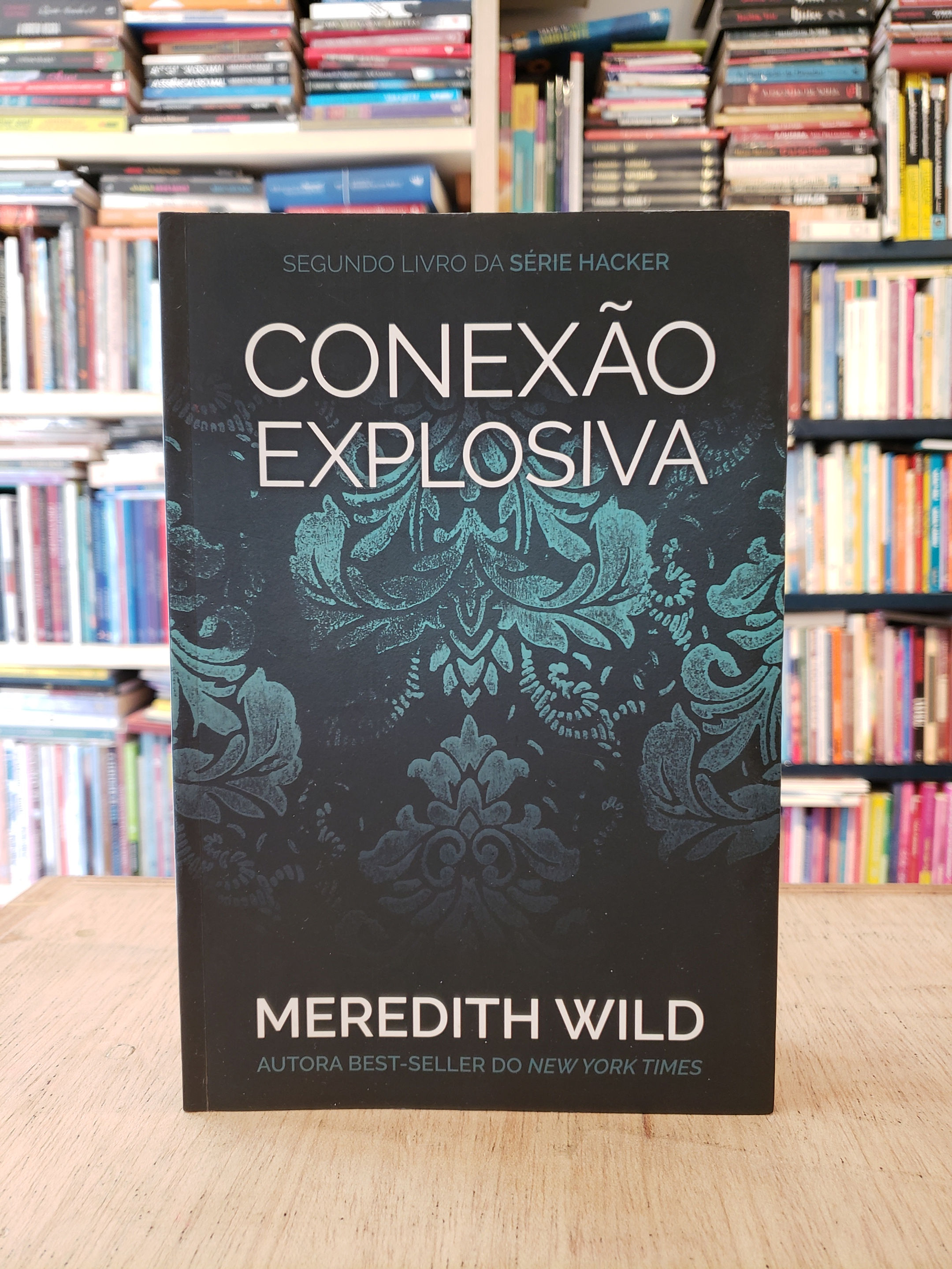 Conexão explosiva (Série Hacker #2) - Meredith Wild