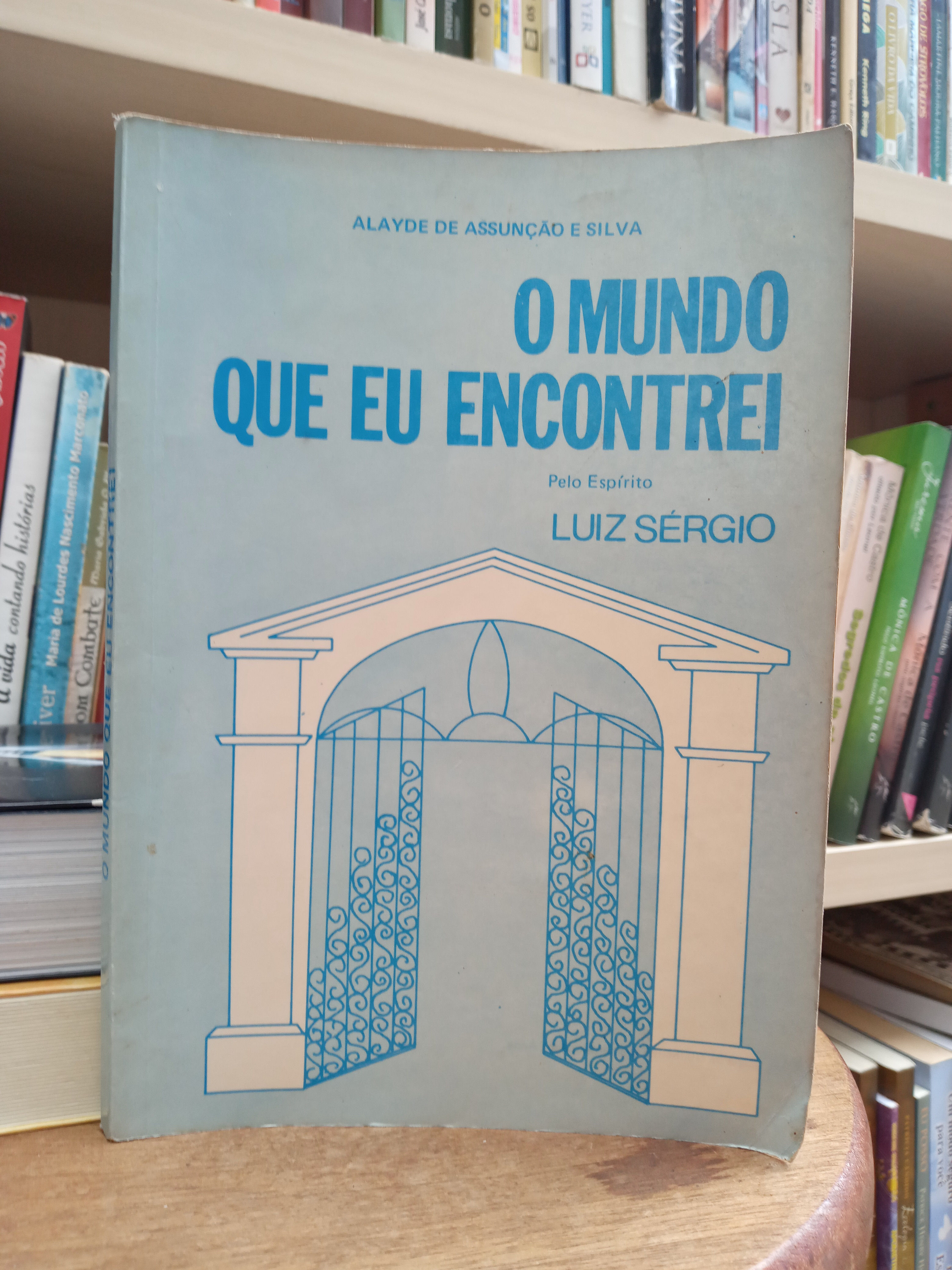 O mundo que eu encontrei - Alayde de Assunção e Silva