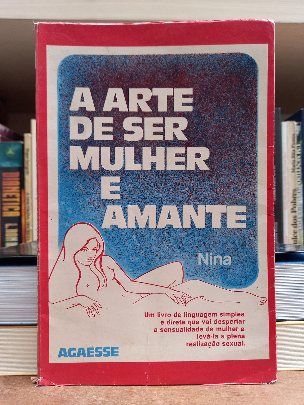 A arte de ser mulher e amante - Nina
