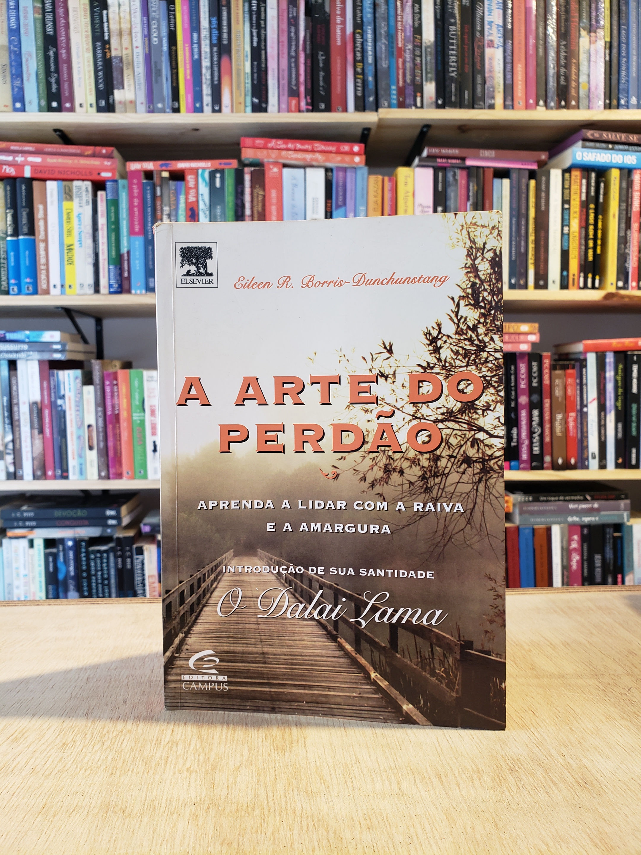 A arte do perdão - Eileen R. Borris-Dunchunstang