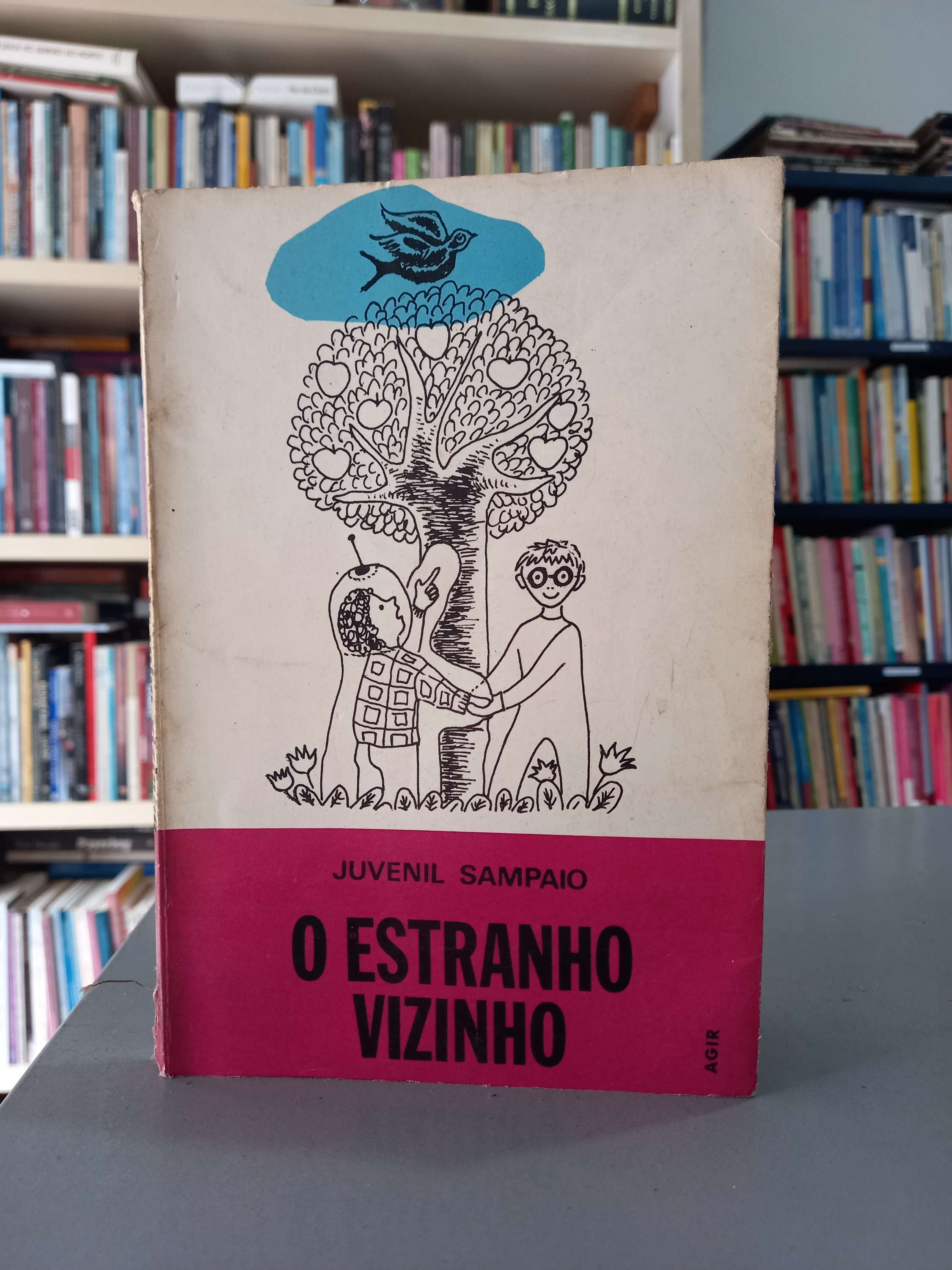O Estranho Vizinho - Juvenil Sampaio