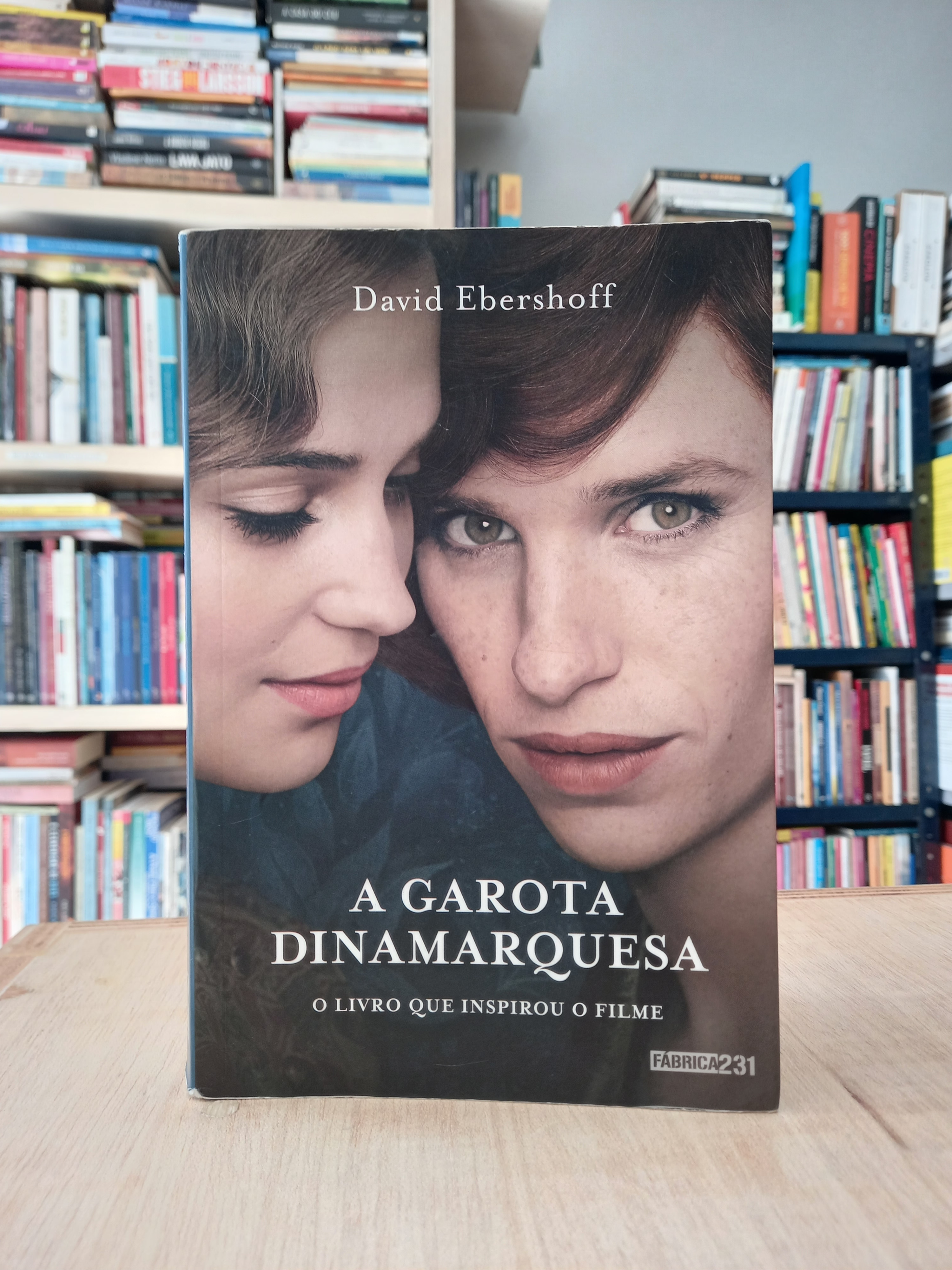 A Garota Dinamarquesa - David Ebershoff