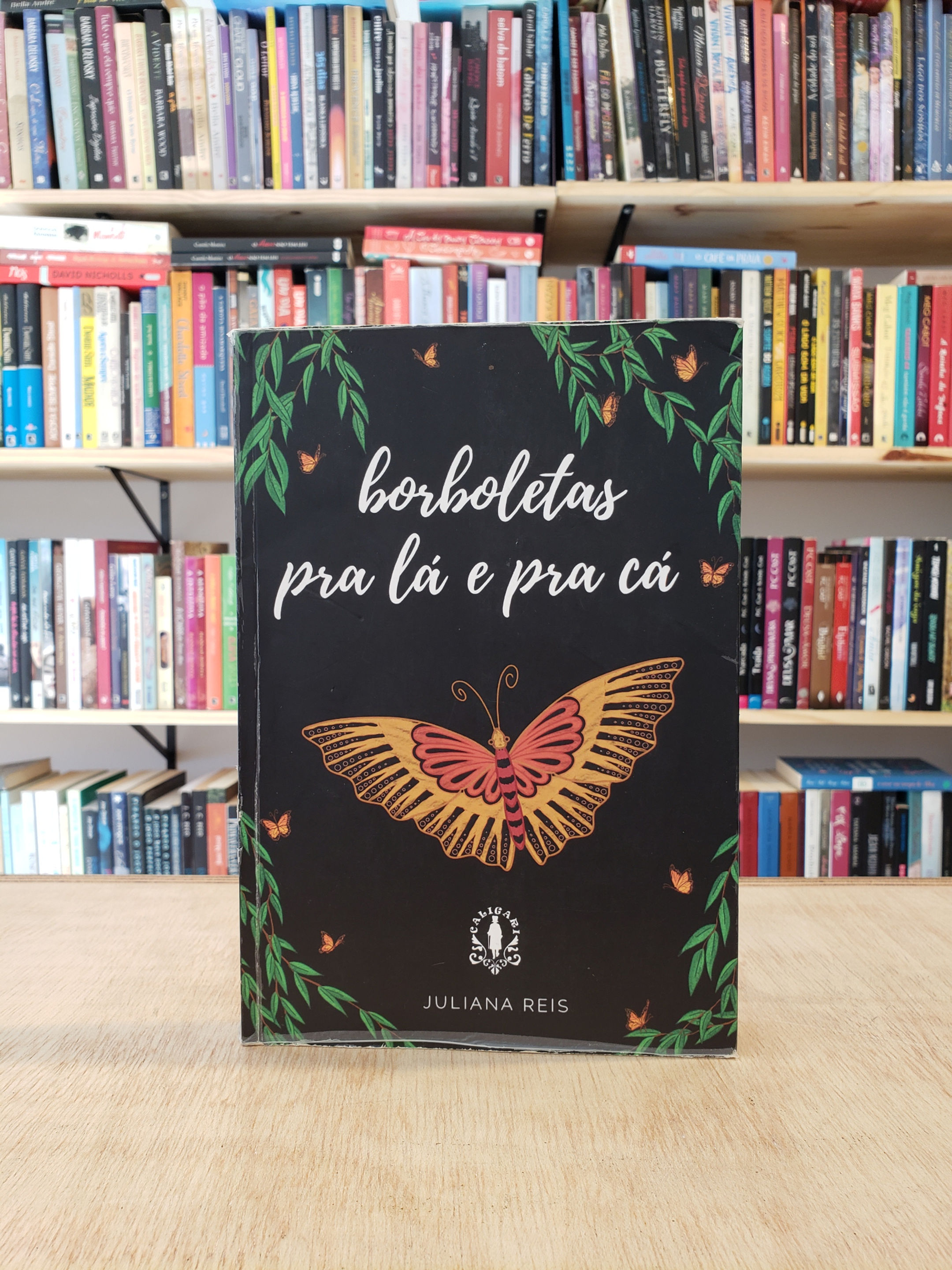 Borboletas pra lá e pra cá - Juliana Reis