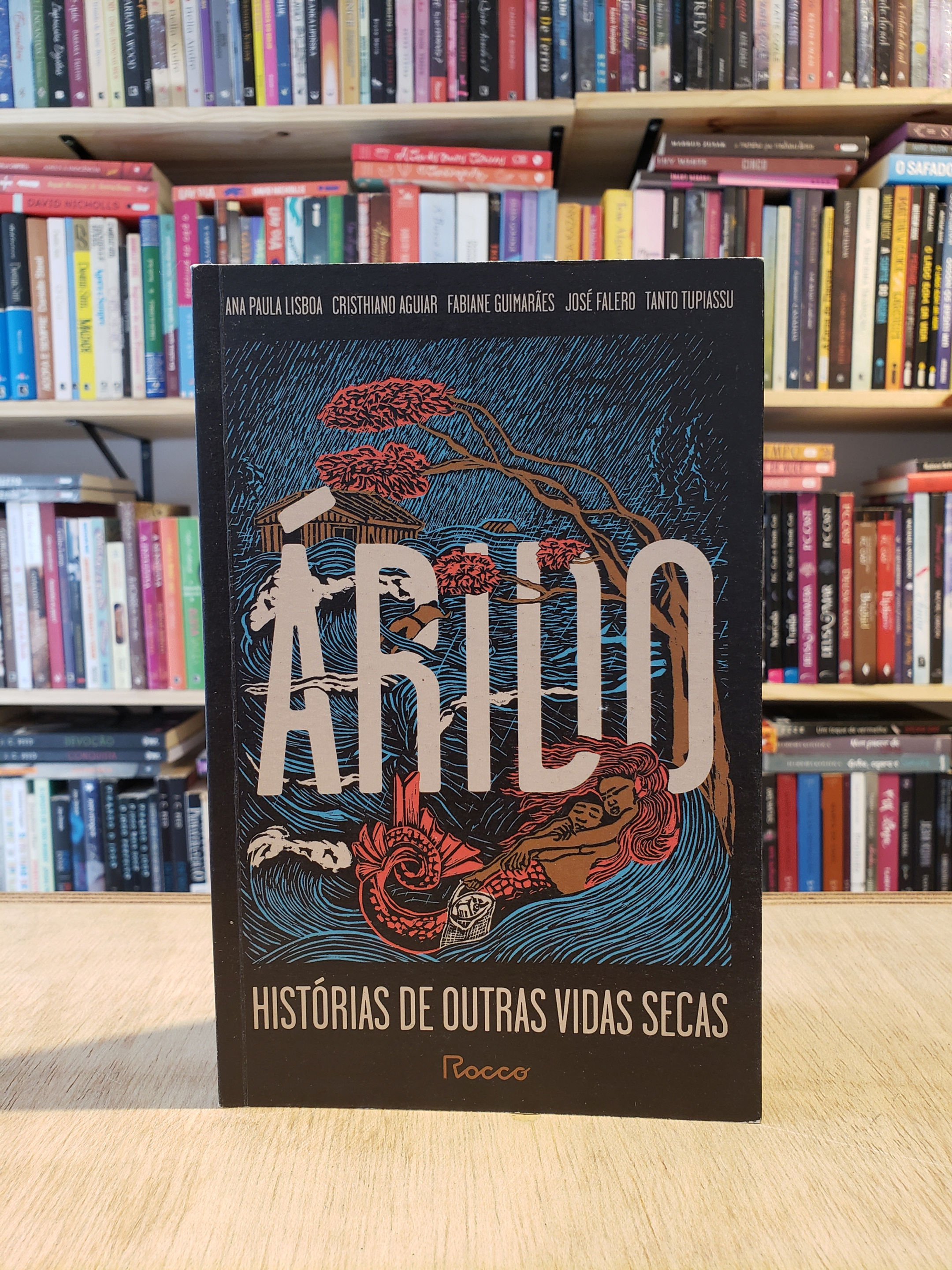 Árido: Histórias de Outras Vidas Secas - Ana Paula Lisboa e outros