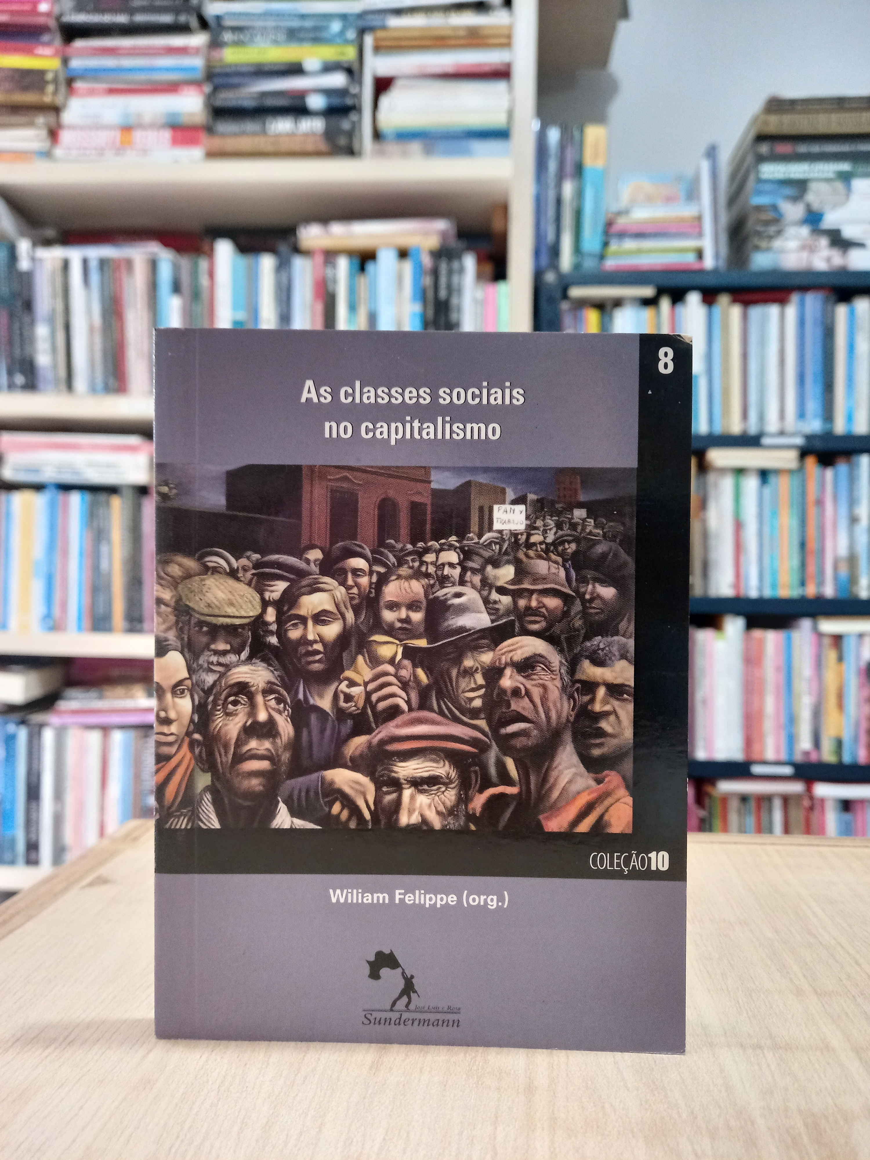 As classes sociais no capitalismo - Wiliam Felippe