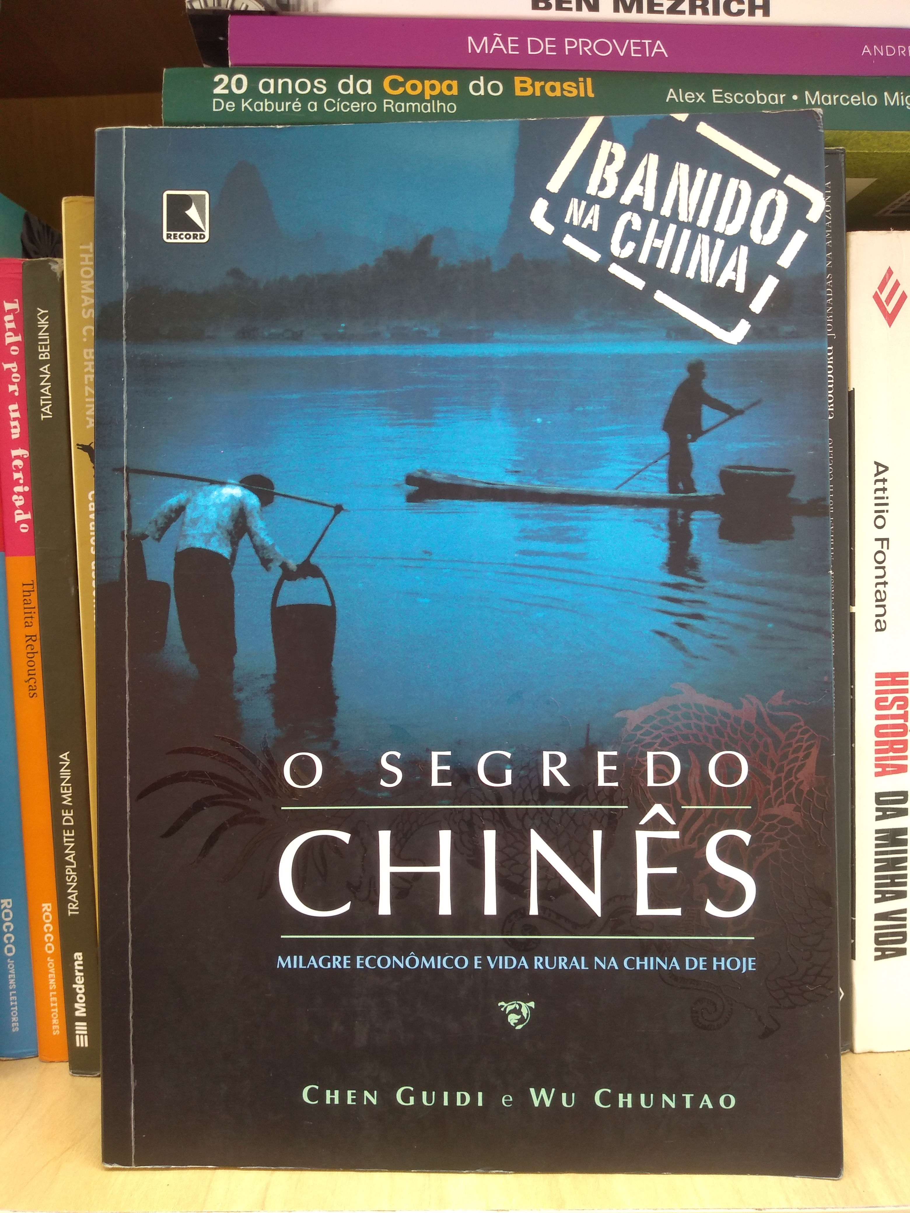 O segredo Chinês - Chen Guidi e Wu Chuntao