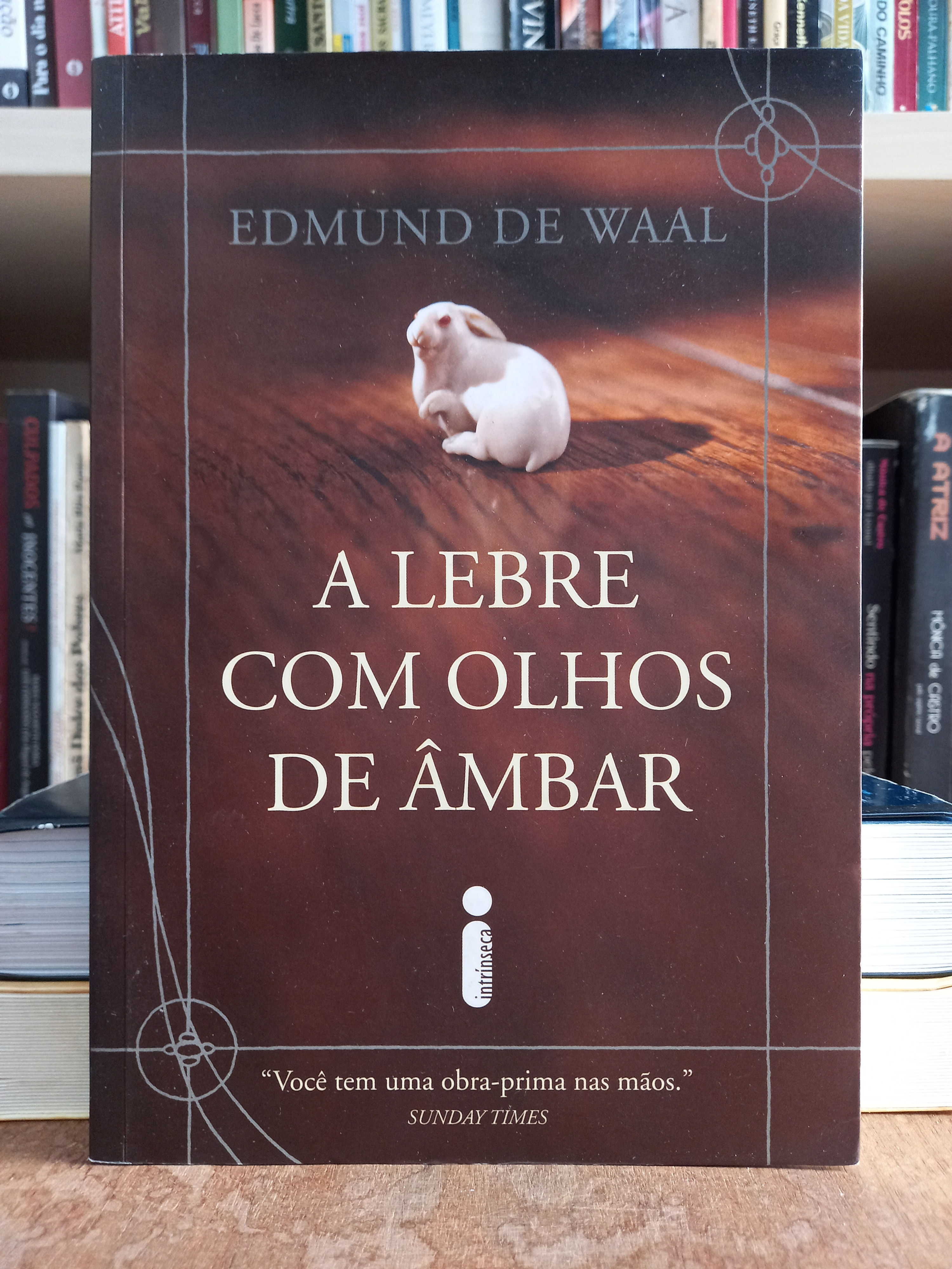A Lebre com olhos de âmbar - Edmund de Waal