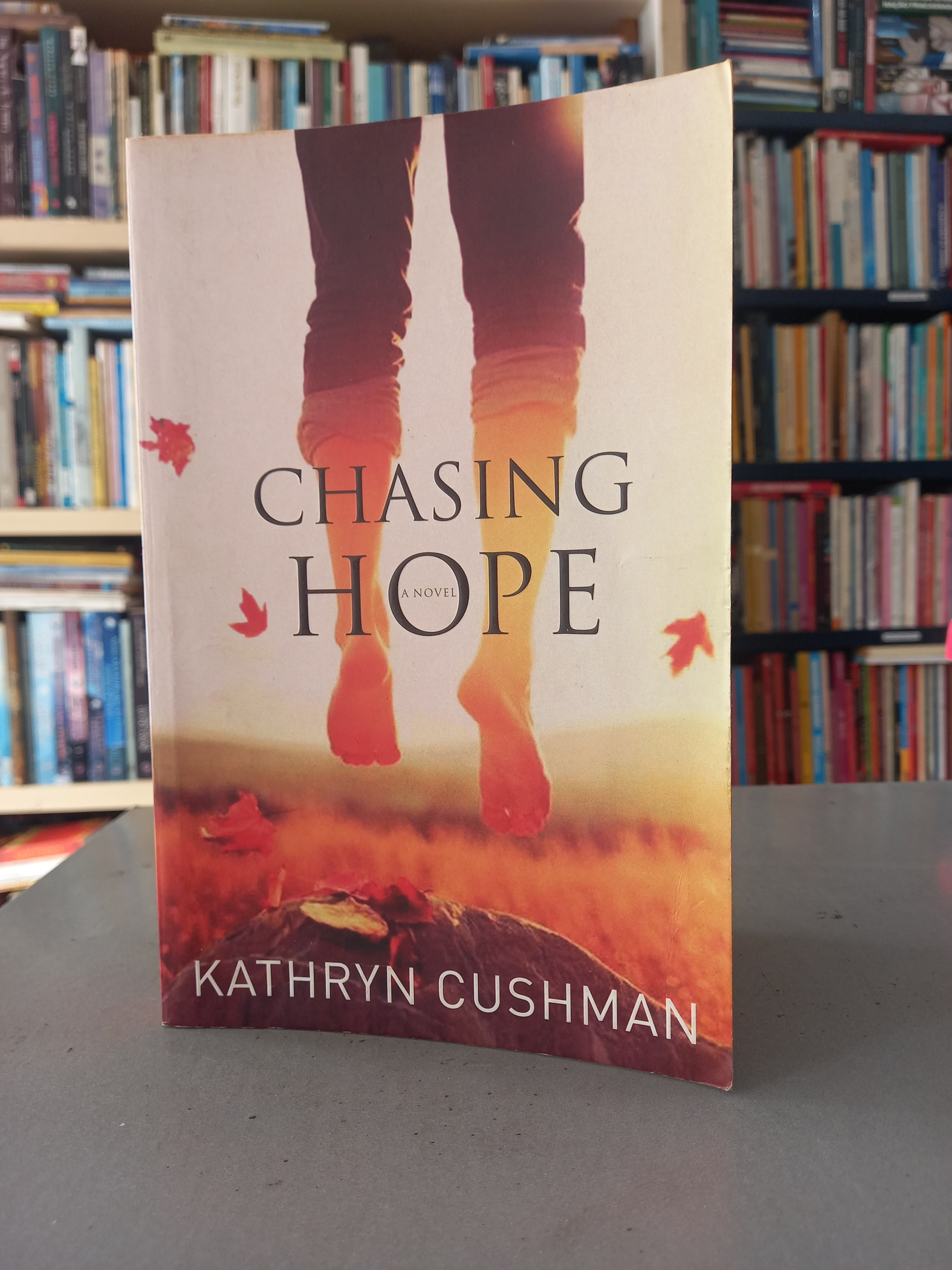 Chasing Hope - Kathryn Cushman