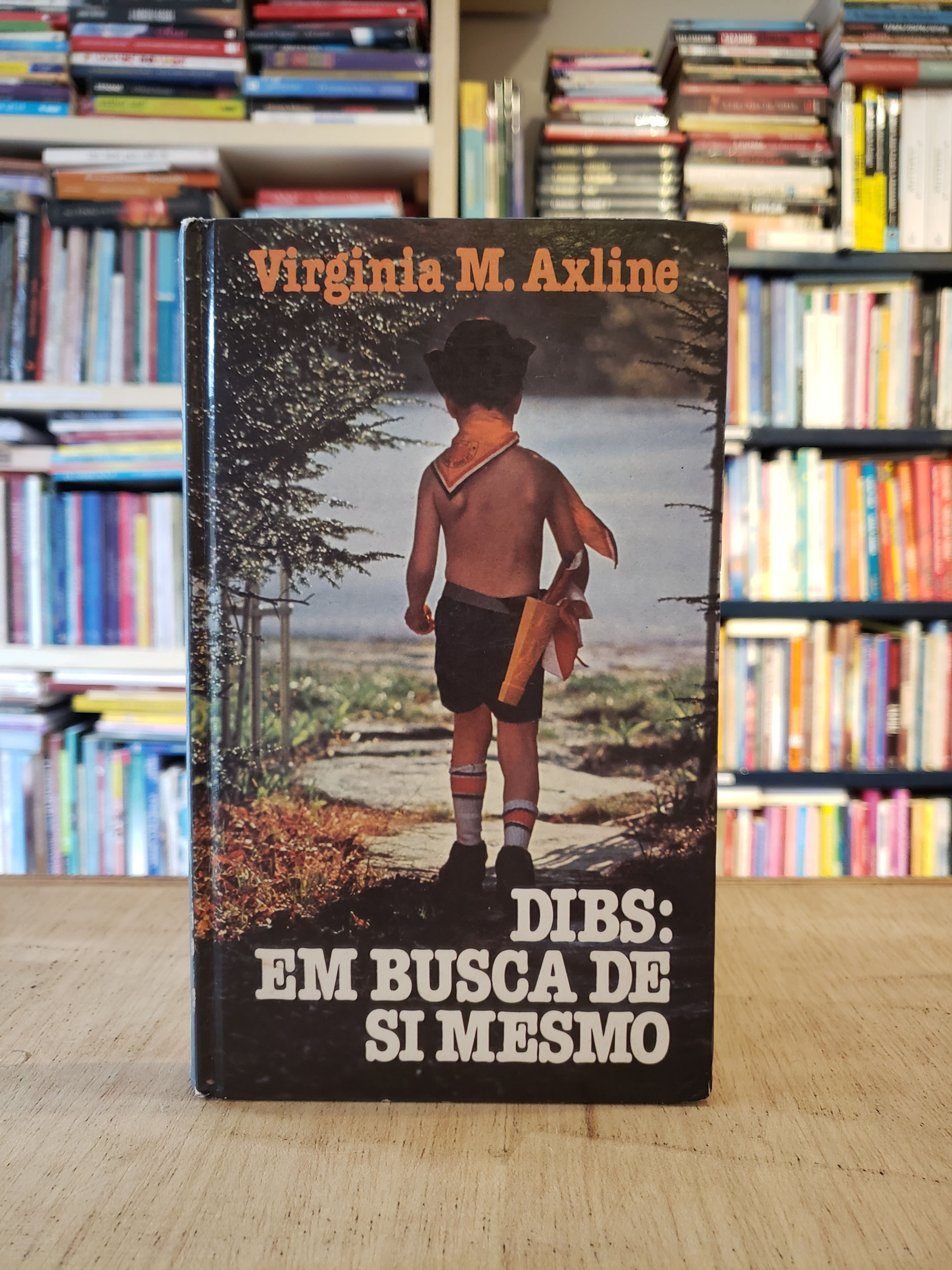 Dibs - Em busca de si mesmo - Virginia M. Axline