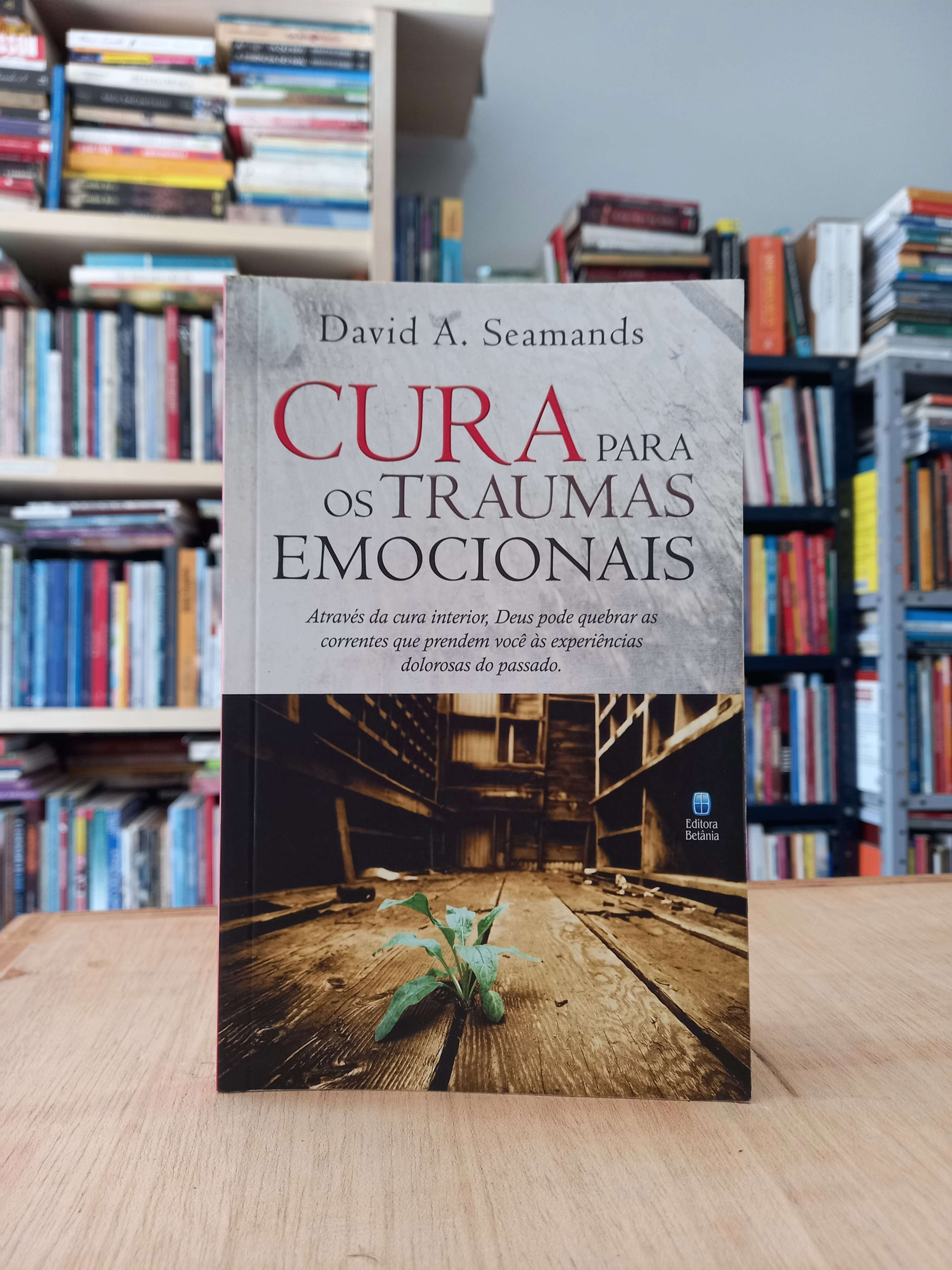 Cura para os traumas emocionais - David A. Seamands
