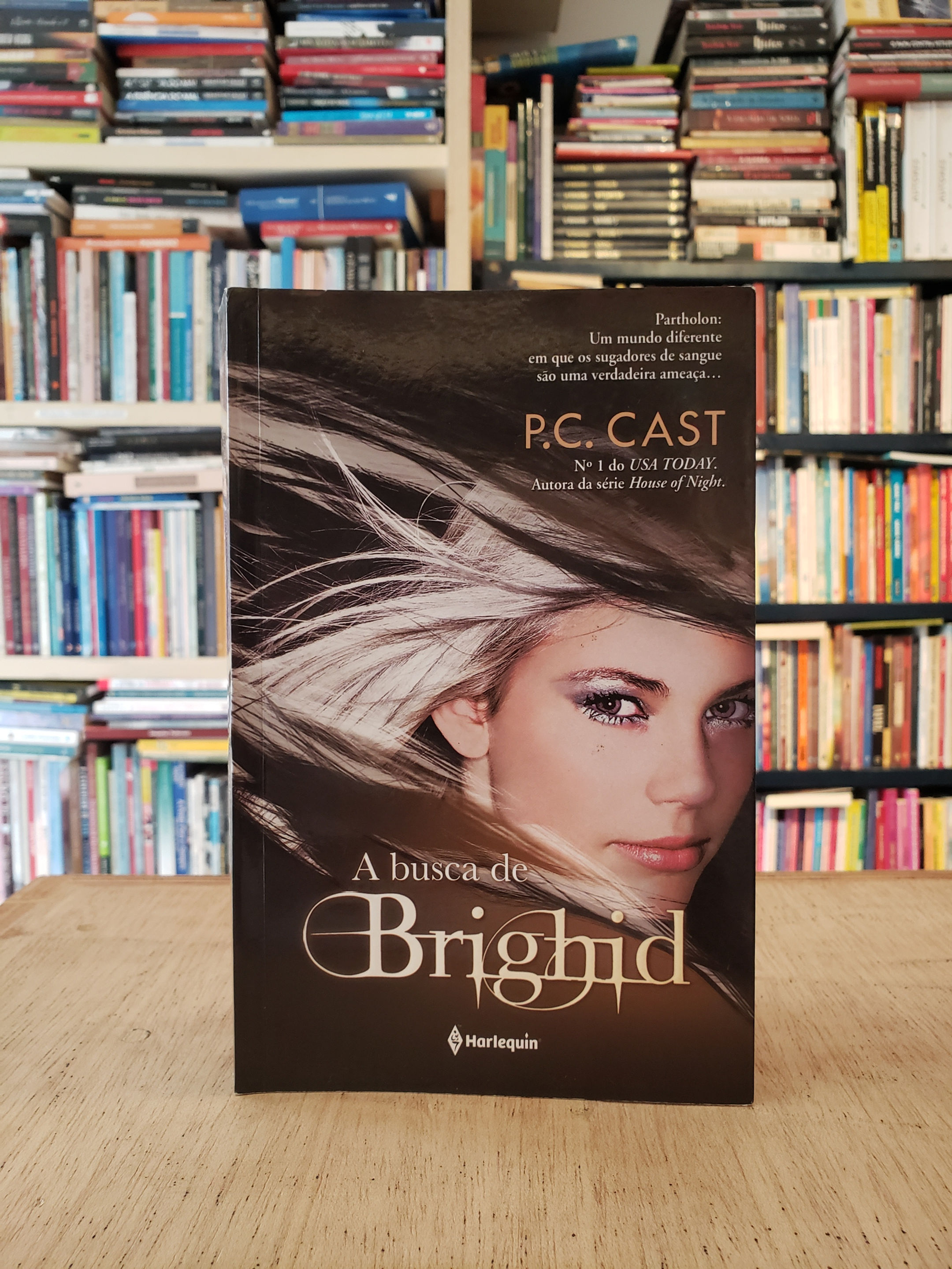 A Busca de Brighid - P.C. Cast