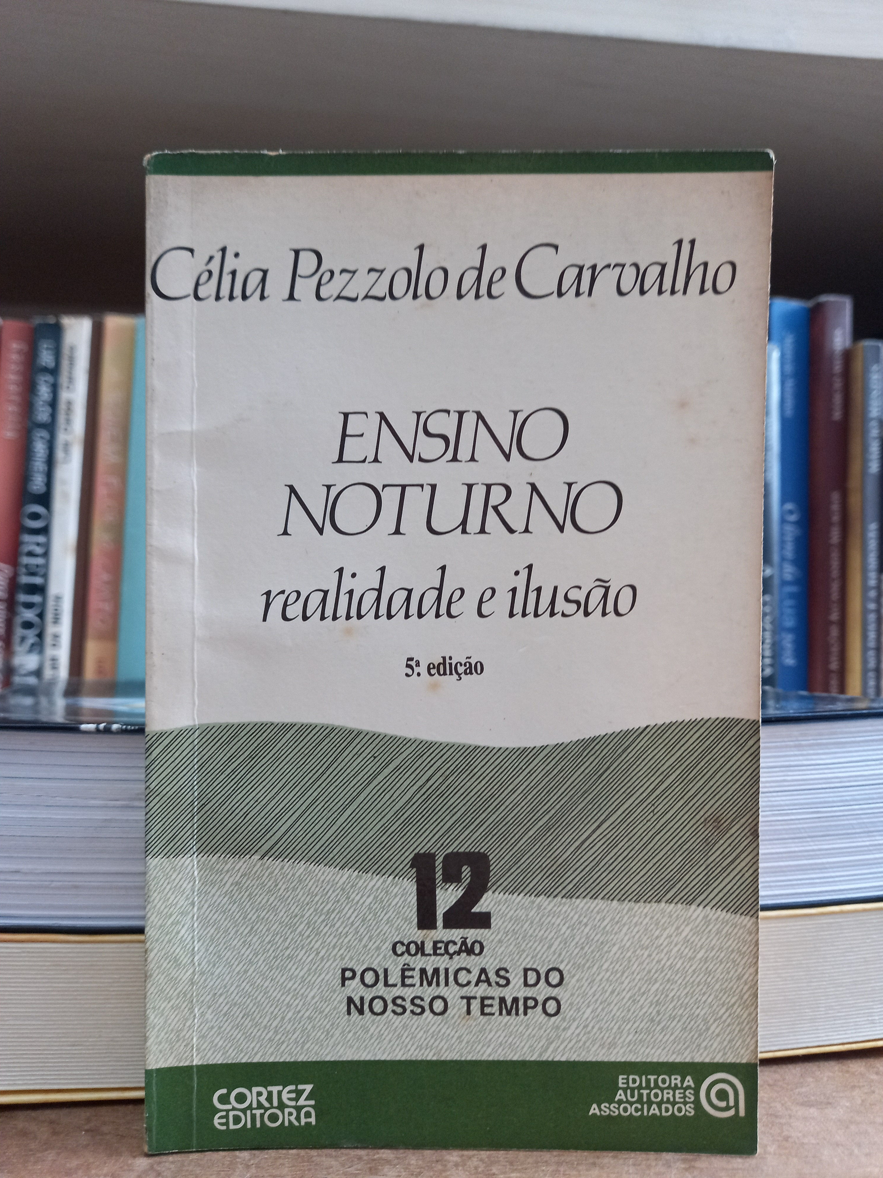 Ensino Noturno realidade e ilusão - Celia Pezzolo De Carvalho