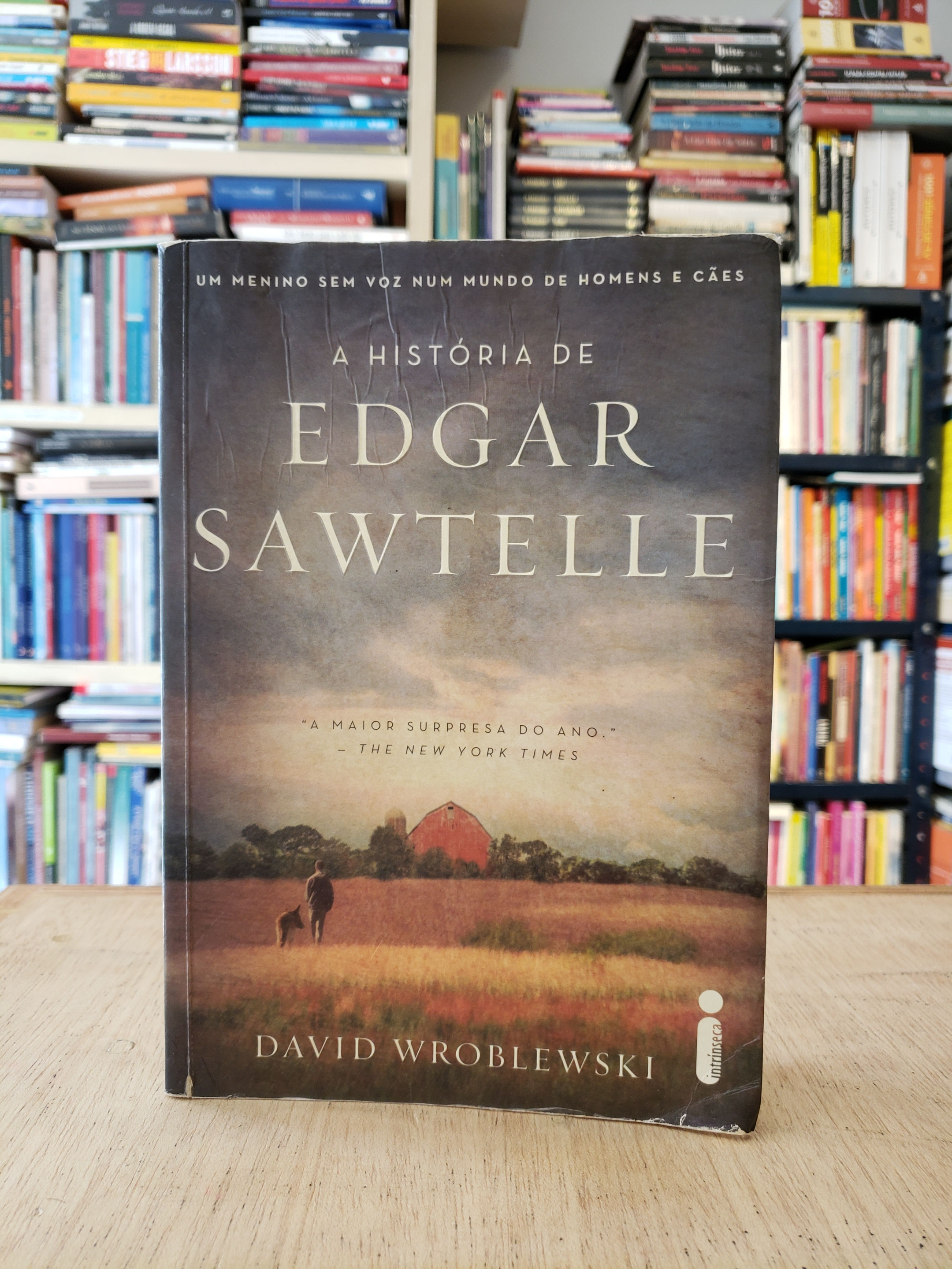 A História de Edgar Sawtelle - David Wroblewiski