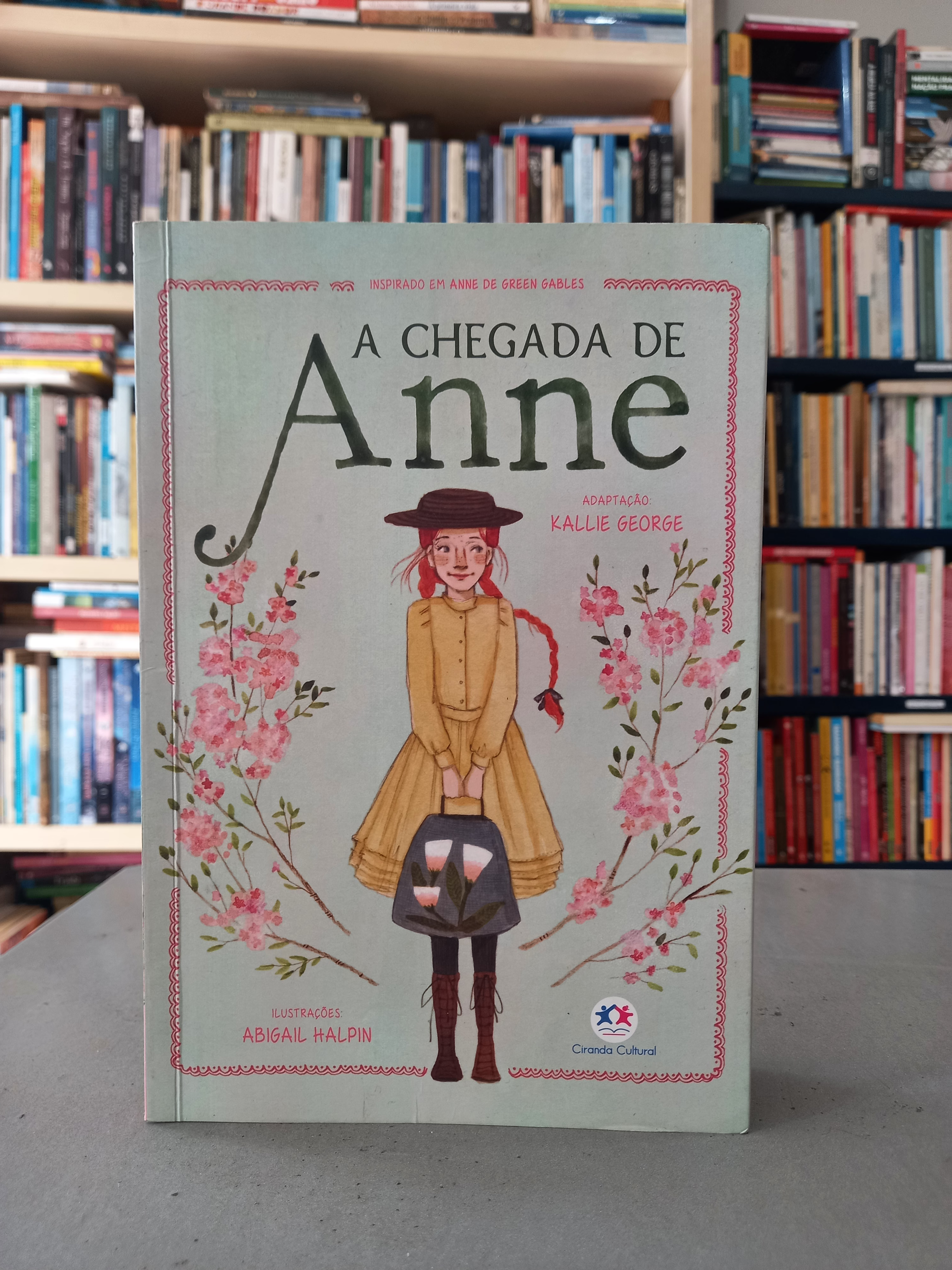 A chegada de Anne - adaptação Kallie George