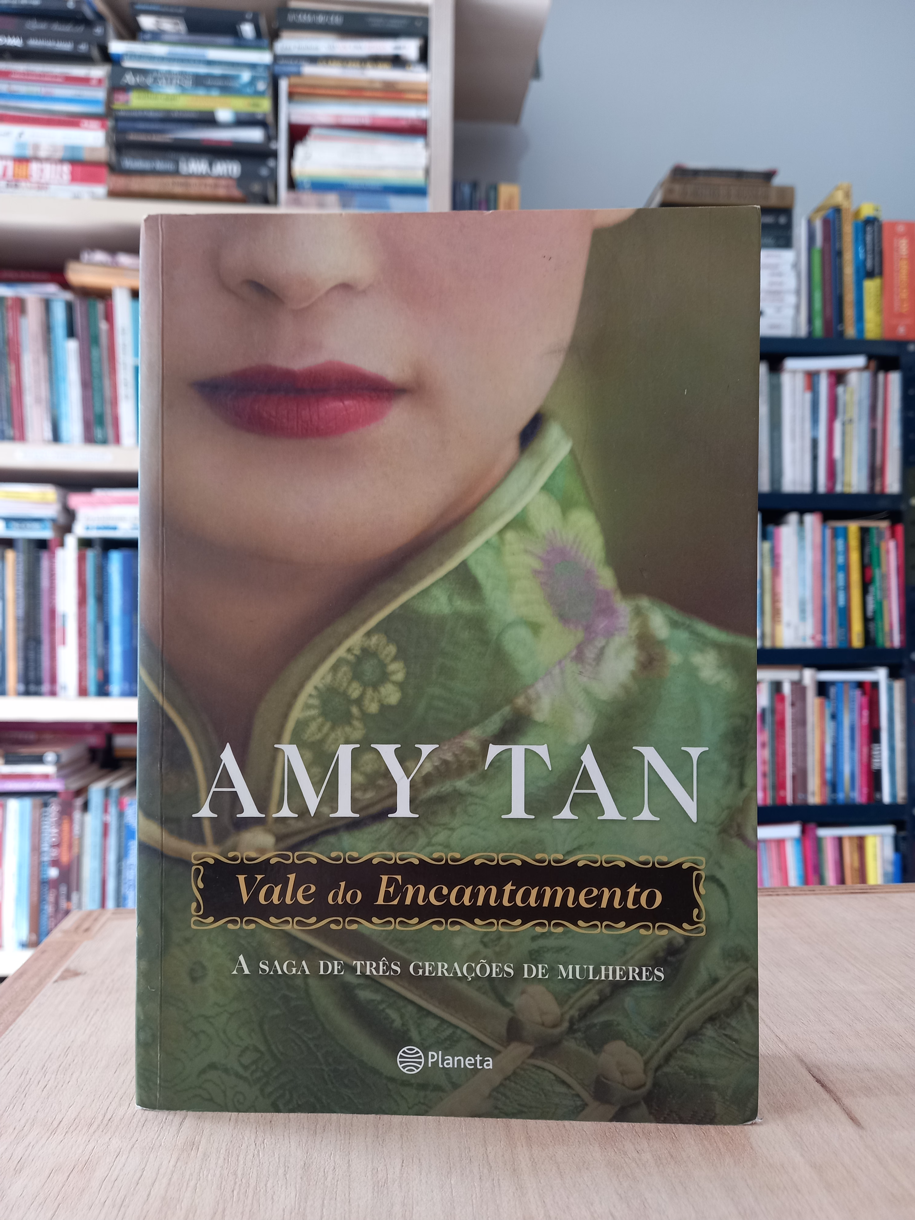 Vale do Encantamento - Amy Tan