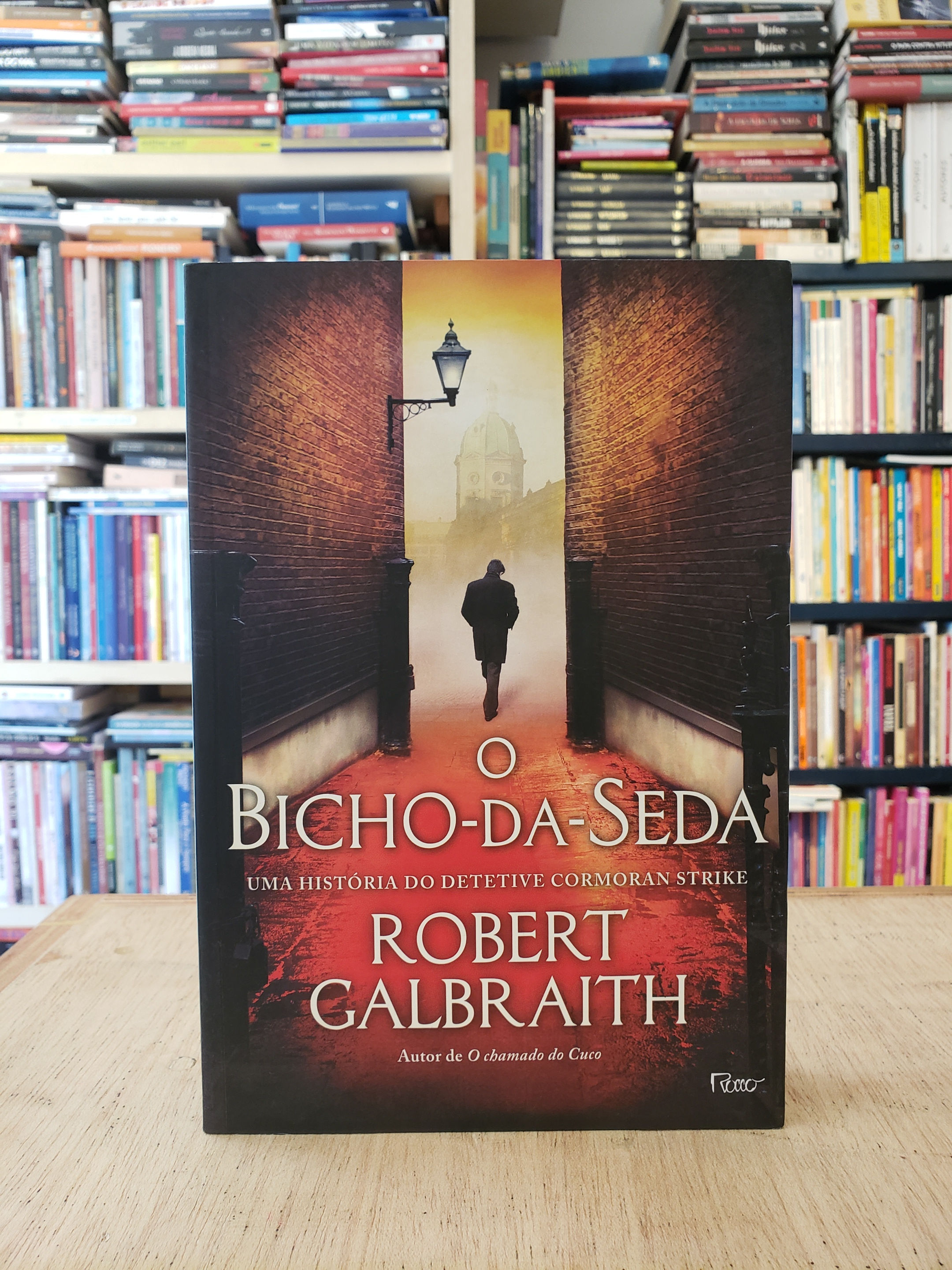 O Bicho-da-seda #2 - Robert Galbraith