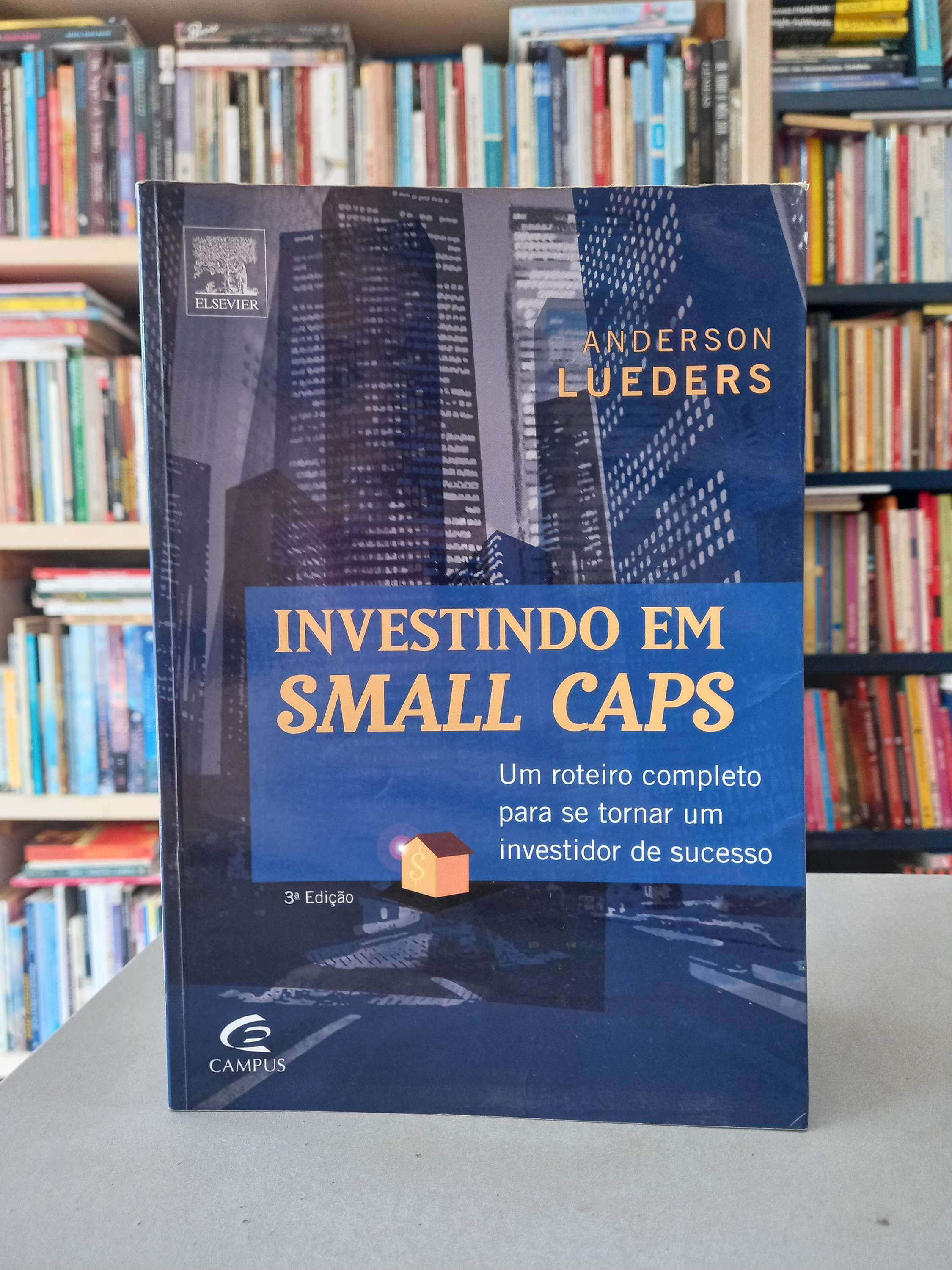Investindo em Small Caps - Anderson Lueders