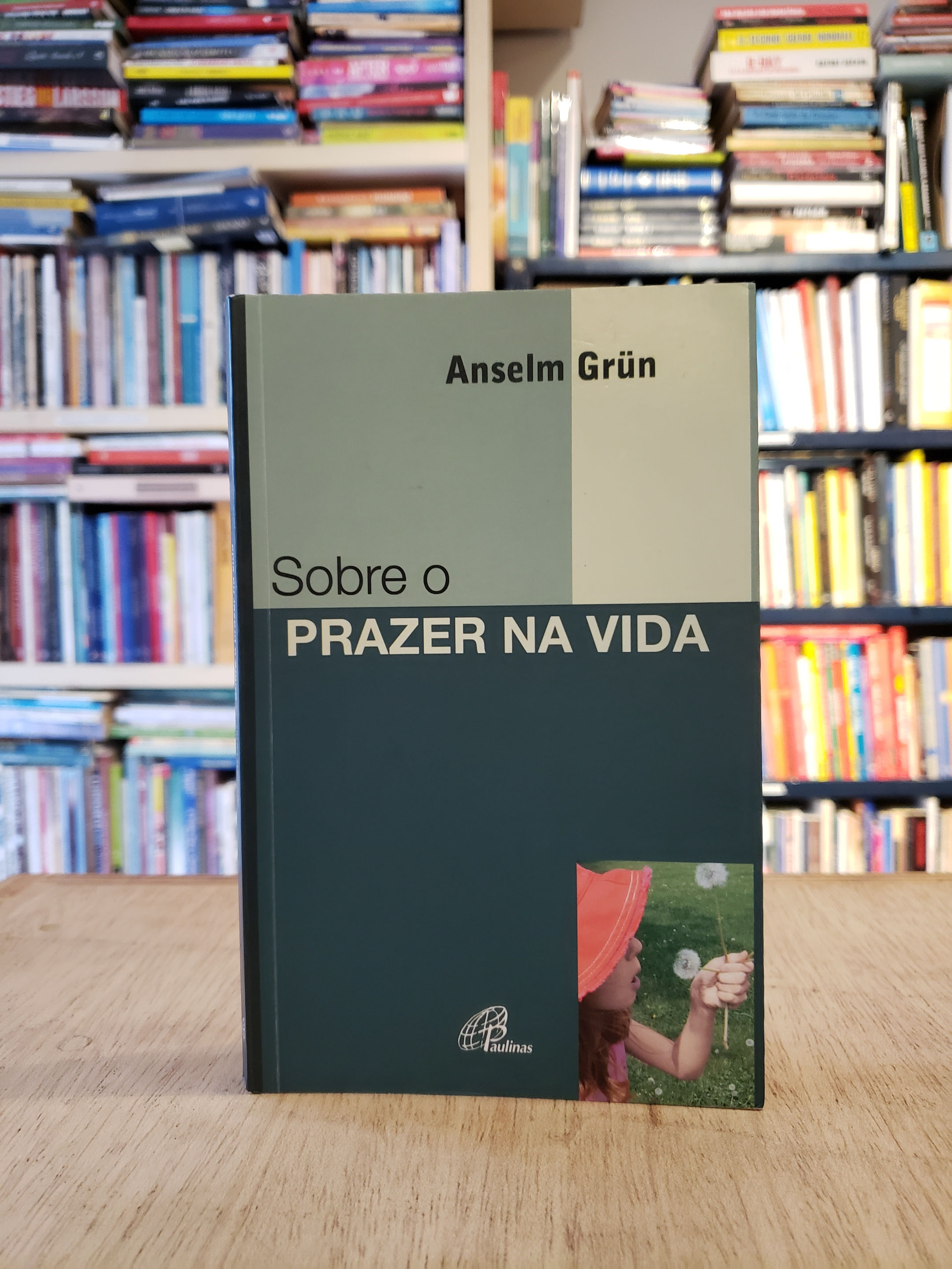 Sobre o prazer na vida - Anselm Grün