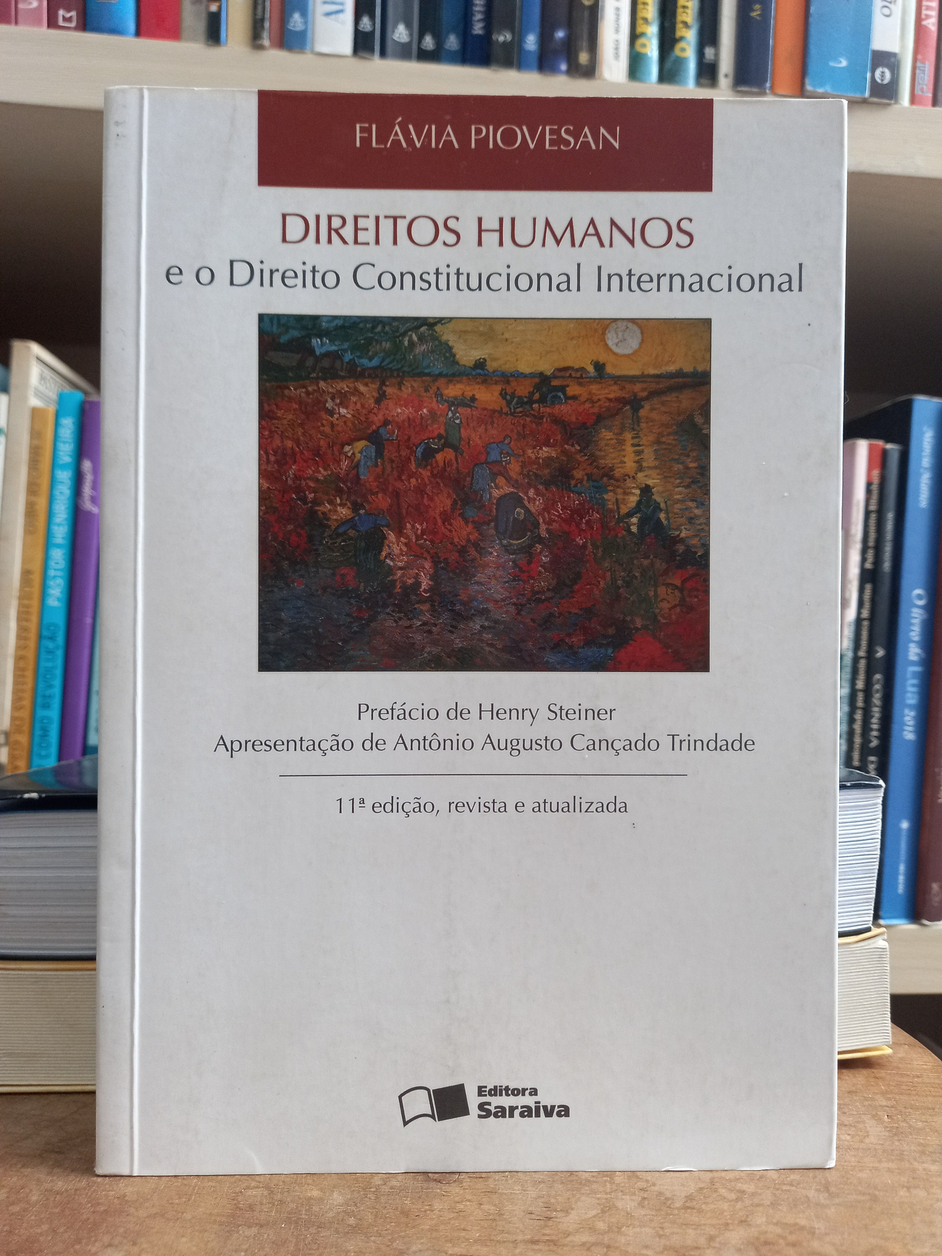 Direitos Humanos e o Direito Constitucional Internacional - Flávia Piovesan