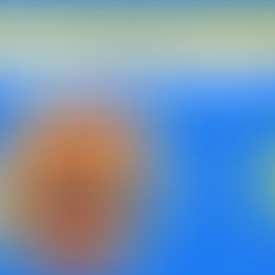 Neurodiversity| Empowerment through Education