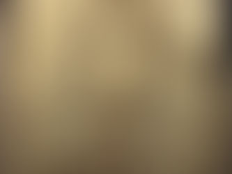 Viviendo entre mundos