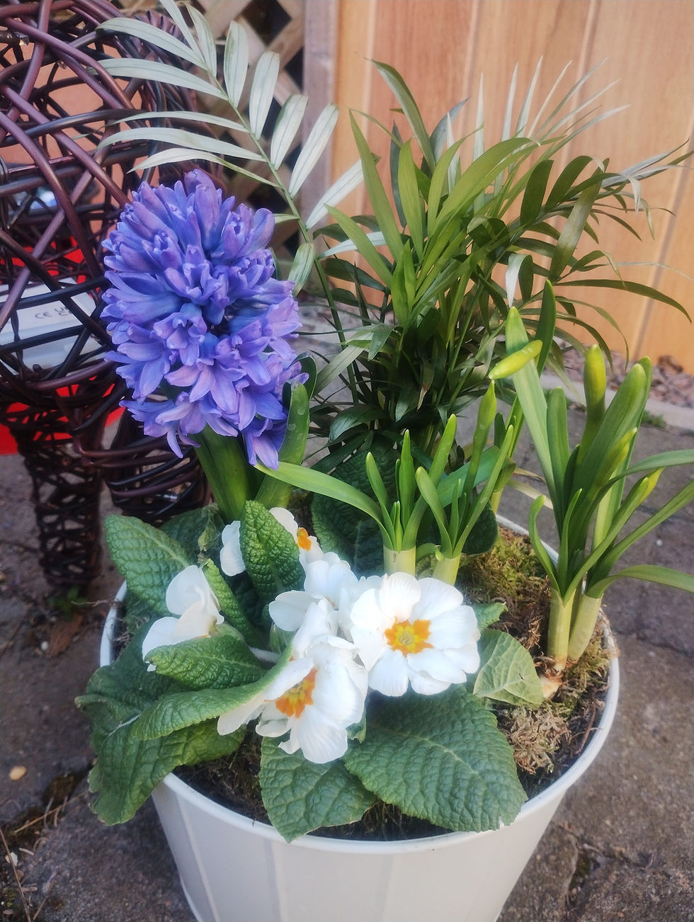 How to support your back whilst gardening