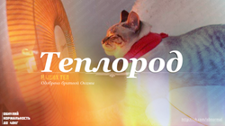 Теплород.png