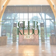 Wedding DJ and live music